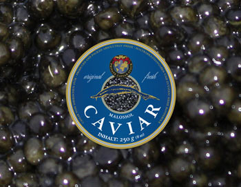 250g frischer Sibirischer Stör Caviar